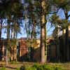 Fleming Building