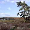 culloden battlefield building