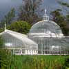 Glasgow Botanic Gardens