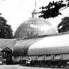 Kibble Palace Glasgow Botanical Gardens