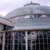 winter gardens photo