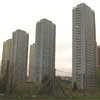 Red Road Flats Glasgow