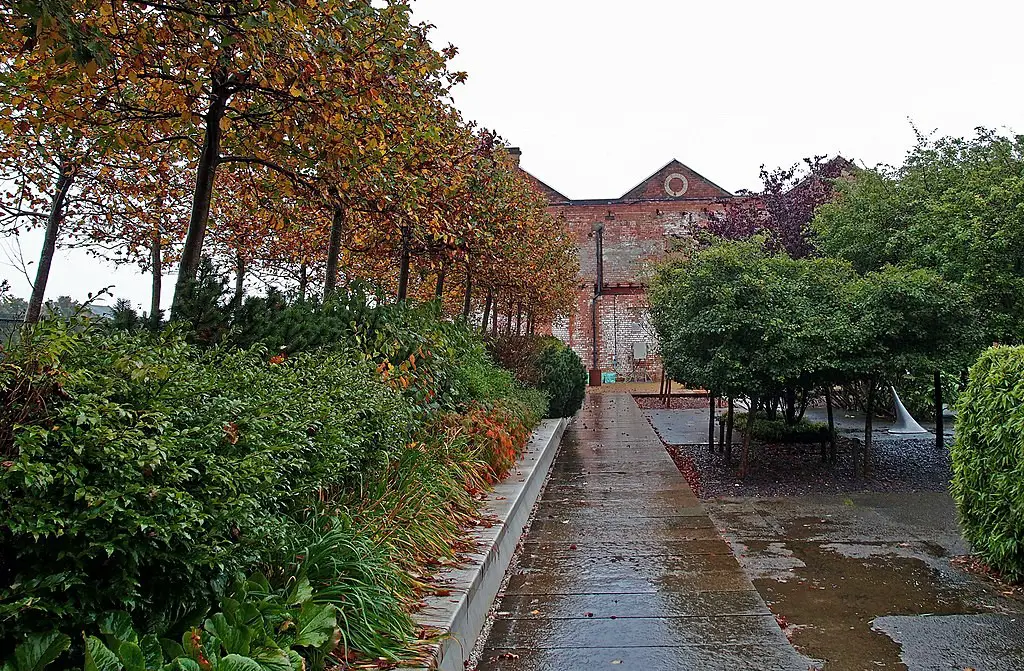 Hidden Gardens Tramway Glasgow trees