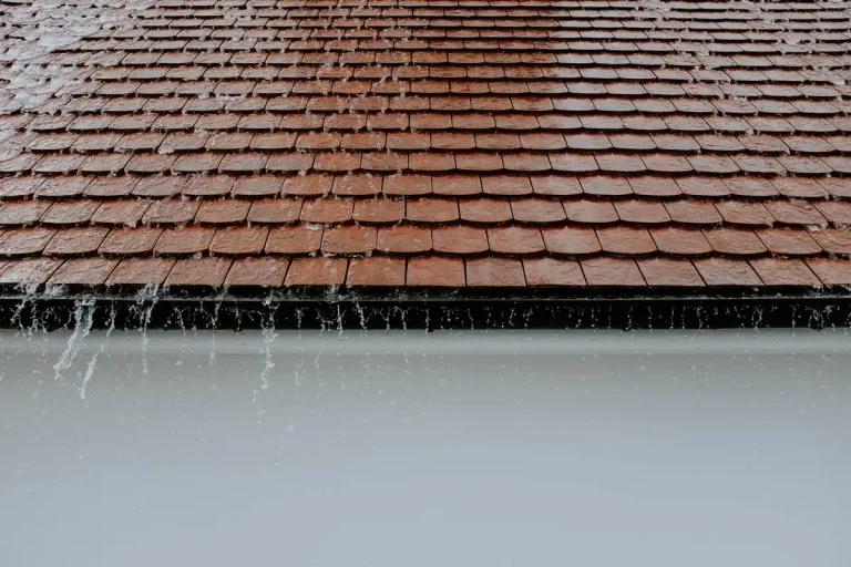 Removing roof mold by Birmingham roofing contractor