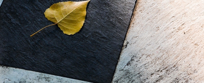 Ceramic tiles: pros, cons, and applications