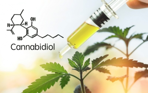 CBD in the UK and Europe legal guide