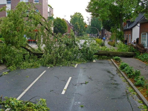 Tips on how to clear your home after a storm