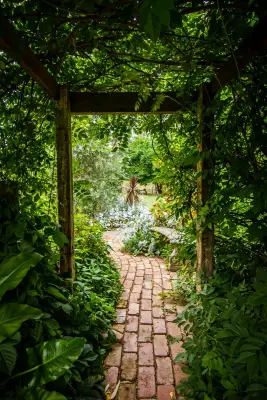 How to make the most of your garden