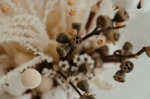 Making Your Own Dried Flower Bouquet
