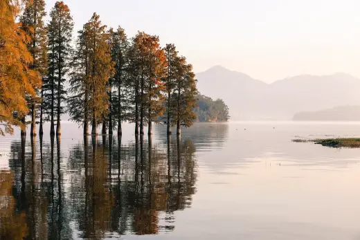 Eight of the best photo albums