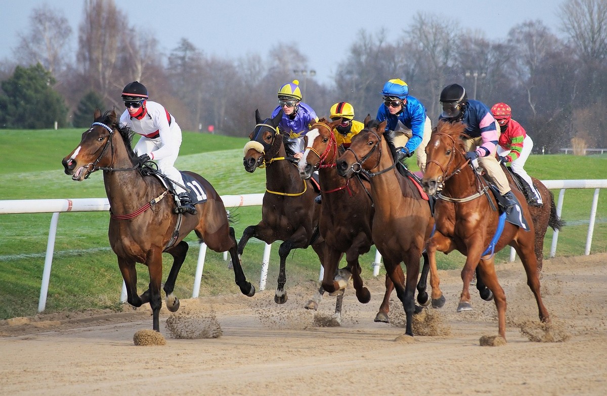 Horseracing race track horses