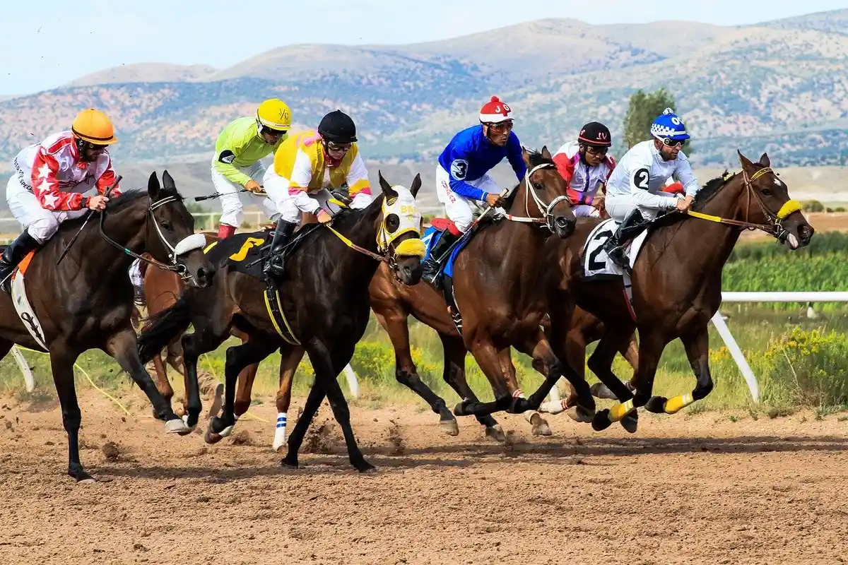 How to increase your chances of winning at betting