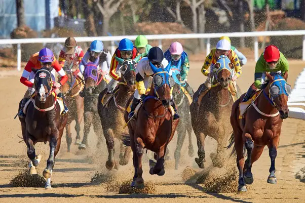 Tech used in horse racing competitions